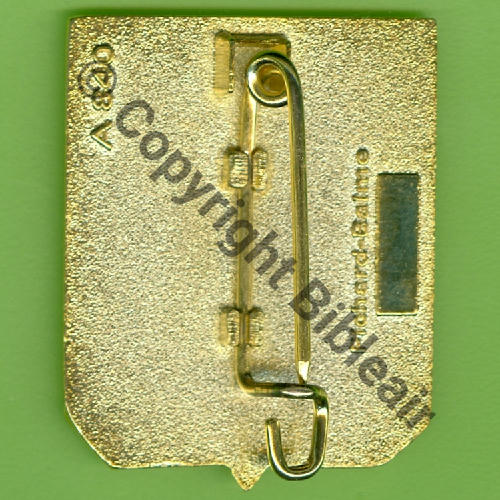 A0840 ETO.01.008 SAINTONGE CAZAUX  PICHARD BALME Griffes et butees Dos irreg scintillant Src.Y.GENTY 30Eur03.17 